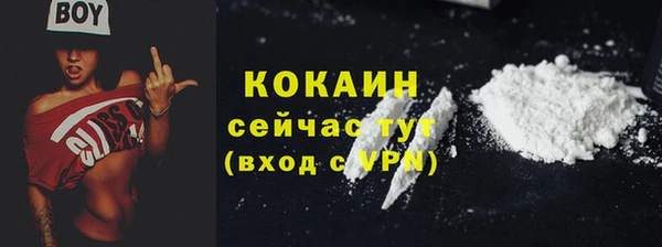 MESCALINE Бородино